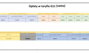 Taryfa G11 netto: ile kosztuje 1 kWh PGE? Zależy od zużycia. Np. 0,20 zł przy zużyciu do 500 kWh/rok.