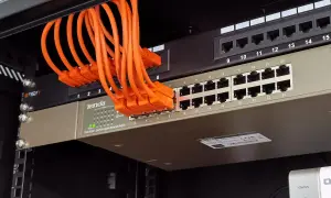 Pomarańczowe kable sieciowe podłączone do przełącznika LAN.