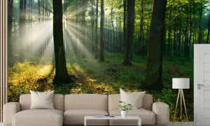 Pomysły na ścianę za kanapą, które odmienią Twój salon na lepsze