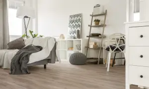 Jasne, oto opis:

Nowoczesny salon z szarą kanapą i kocami, białą komodą i regałem. Na podłodze widać piękne panele laminowane czy winylowe.