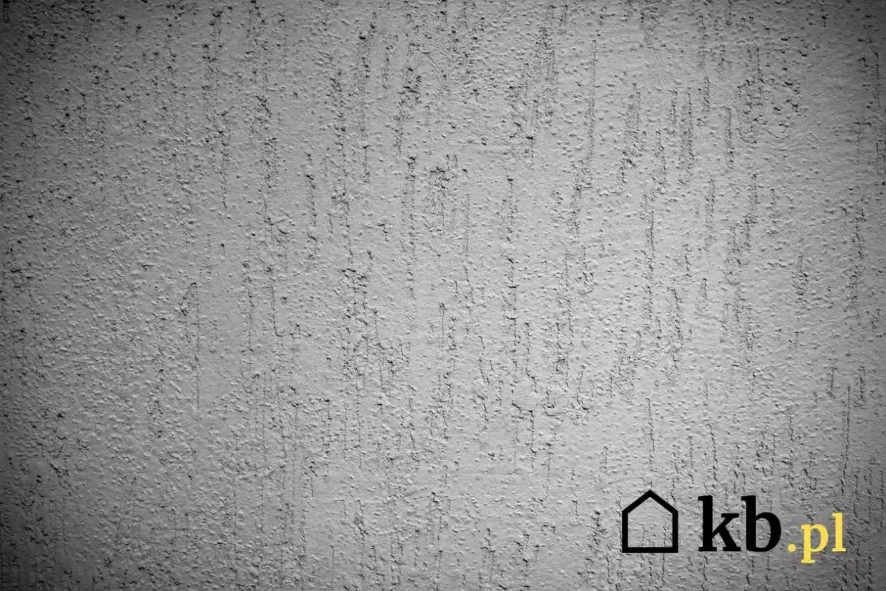 Szara ściana z fakturą tynku kornik, imitującą ślady po żerowaniu owadów. Widoczne pionowe, nieregularne bruzdy.